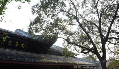 成都周邊隱藏一個4a級古鎮,門票0元,在山水之間,正越來越火