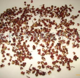 干花椒勞務服務 農業產業鏈中的專業勞動力支持